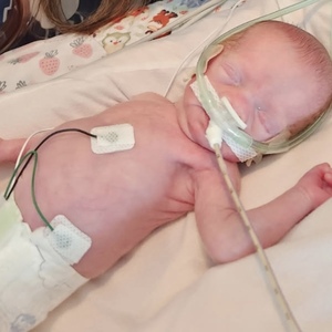 Team Page: Team Margot